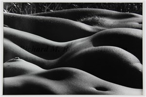 Image description is not available for 1998.043